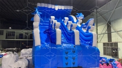 Blue Dolphin Commercial Large Outdoor PVC Inflatable Swimming Pool Slide